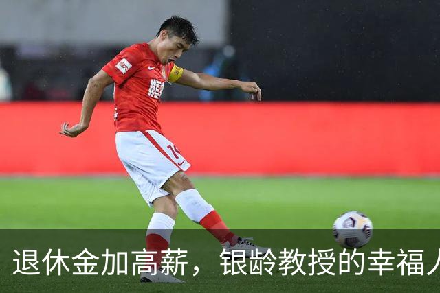 退休金加高薪，银龄教授的幸福人生